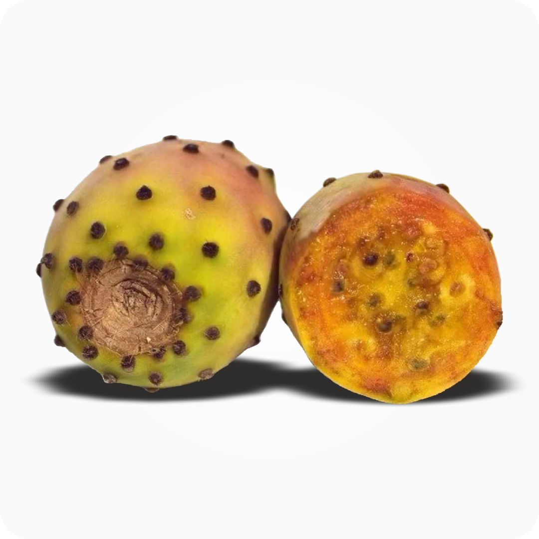 Dikenli İncir 1 Adet